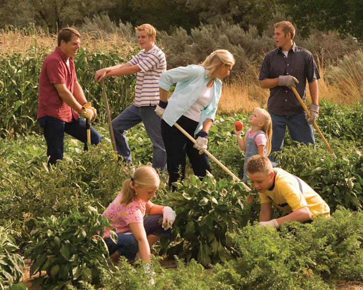 Mormon Family Gardening